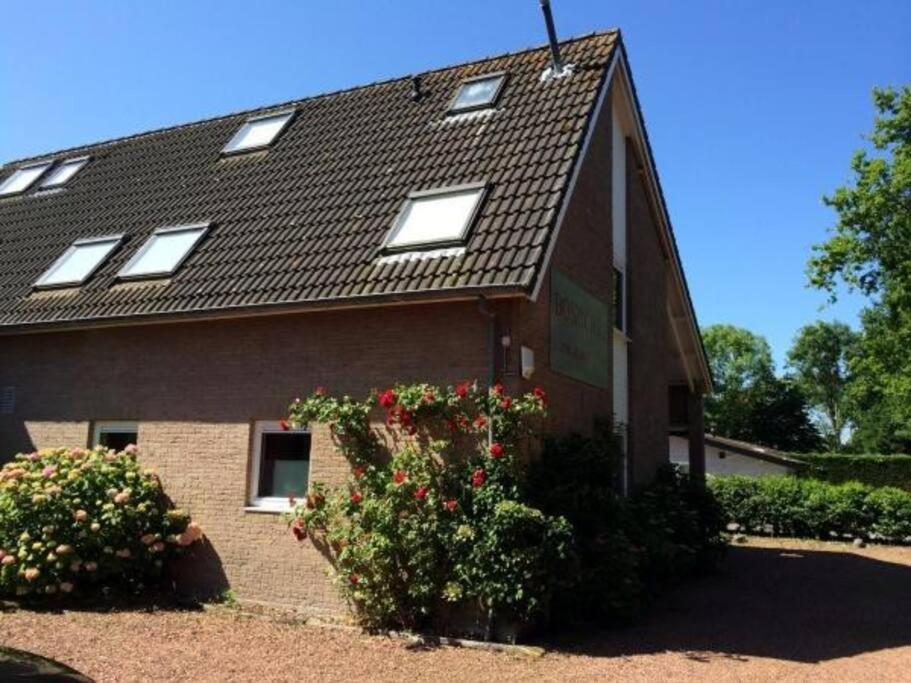 Fewo Oostkapelle appartement 3 Eksteriør billede